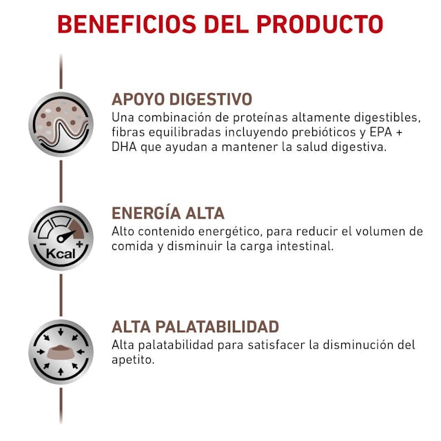 ROYAL CANIN-INTEST HI EN GATO LATA 145GR