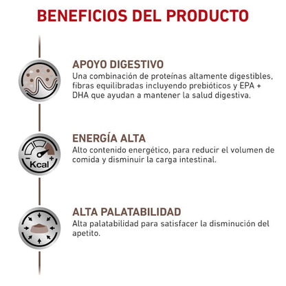 ROYAL CANIN-INTEST HI EN GATO LATA 145GR