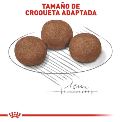 ROYAL CANIN-MEDIUM PUPPY 2.7