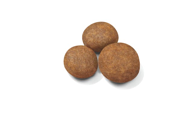 ROYAL CANIN-LARGE BREED PUPPY 13.6 KG