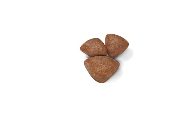 ROYAL CANIN-STARTER SB 1.5 KG