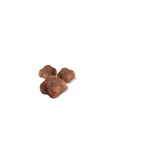 ROYAL CANIN-MOTHER & BABYCAT 1.3 KGS