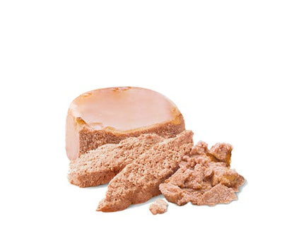 ROYAL CANIN-MOTHER & BABYDOG MOUSSE IN S