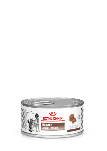 ROYAL CANIN-RECOVERY LATA 150GR