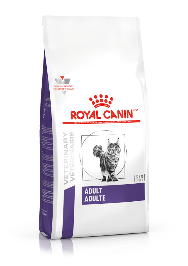 ROYAL CANIN-ADULT GATO 2KG